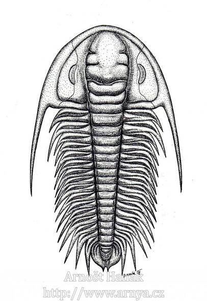 Galerie | PALEOART-PALEONTOLOGY IMAGES | Arnošt Hanák