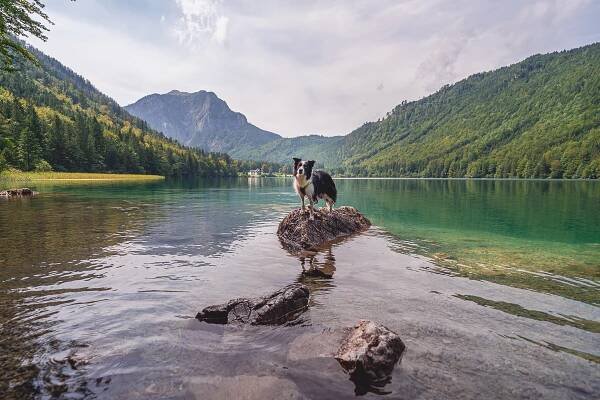 Rakousko se psem - Jezera Vorderer Langbathsee a Hinterer Langbathsee - Výlet - Rakousko se psem - Solná Komora - Greenmind.cz - Cestování se psem