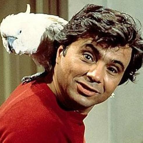 "Baretta" Keep Your Eye on the Sparrow (TV Episode 1975) - Filming & production - IMDb