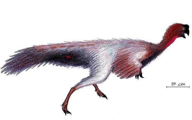 Soubor:Jiangxisaurus.jpg