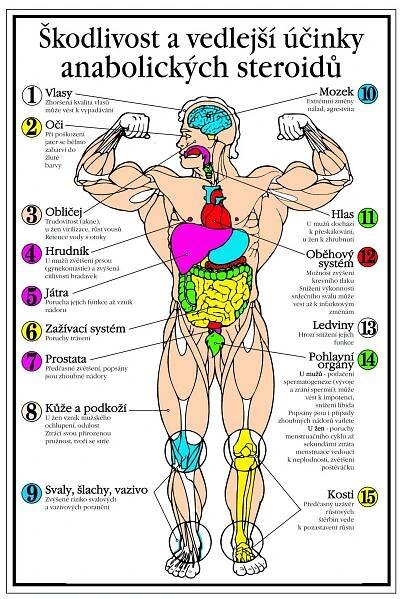 Kapitoly sportovní medicíny | Fakulta sportovních studií Masarykovy univerzity