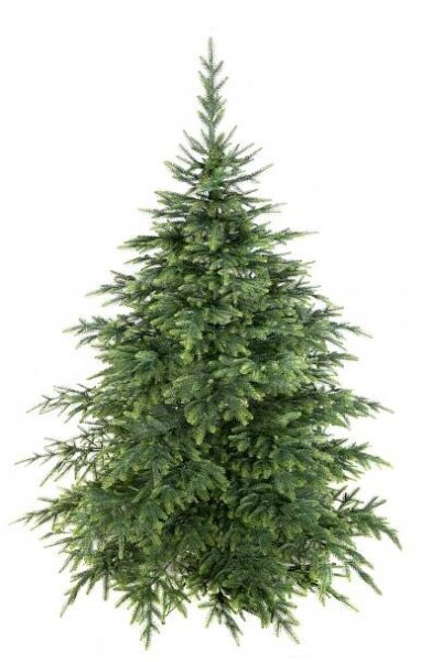 Smrk Natura 3D 100% PE