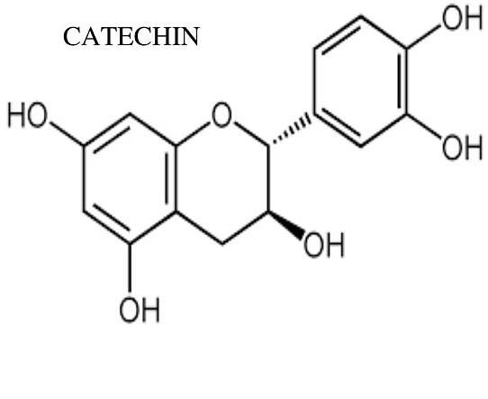 Nitrophenol reduction Research Papers - Academia.edu