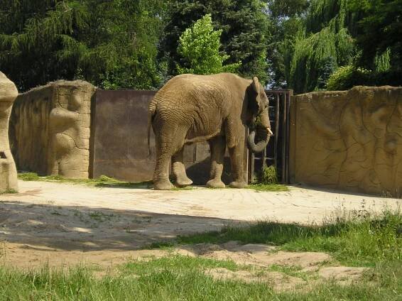 Zájezd do zoo Dvůr Králové 25.6.2016 | Spolek Svébohovan