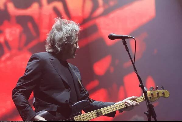 The Suited Bassist