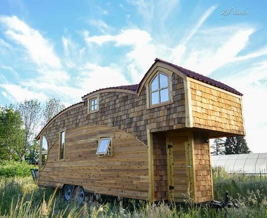 Moon Dragon by Zyl Vardos - Tiny home ideas
