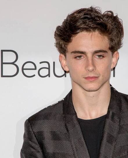 Súbor:Timothée Chalamet in 2018.jpg