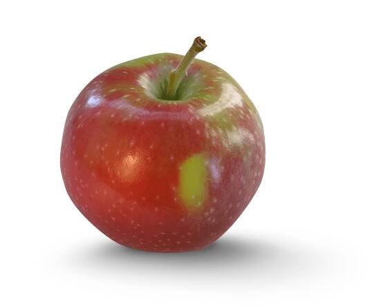 Apple Photo - Jersey Mac
