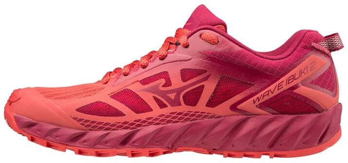 Mizuno WAVE IBUKI 2 W - Dámska bežecká obuv - 1