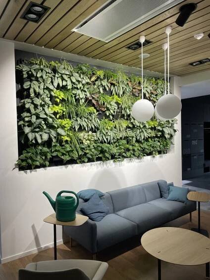 Galerie našich realizací – Vertikální zahrady a zelené střechy