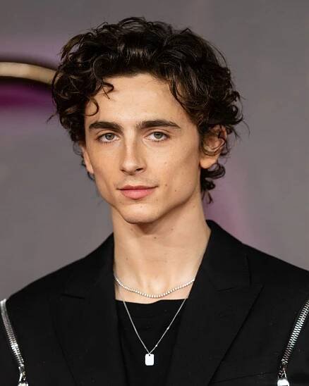 Timothy Chalamet Hair