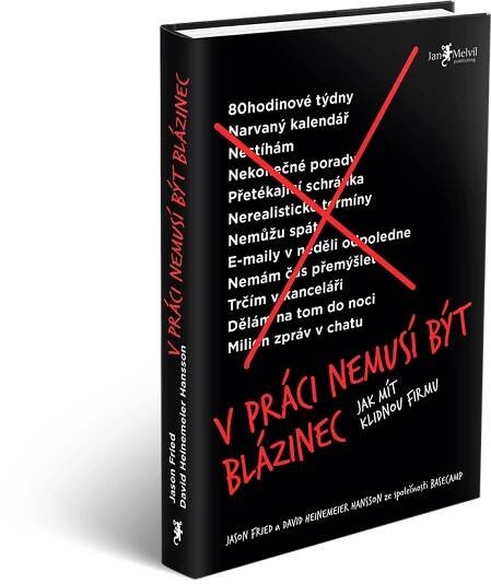 Kniha V práci nemusí být blázinec