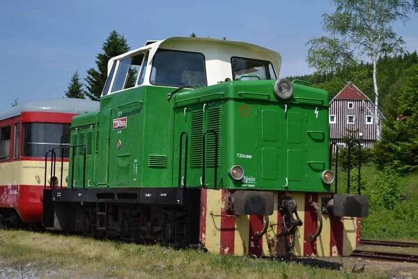 Rosnička - T334.0866