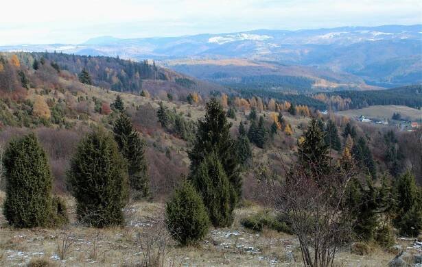 Túra: Javorinka | HIKING.SK