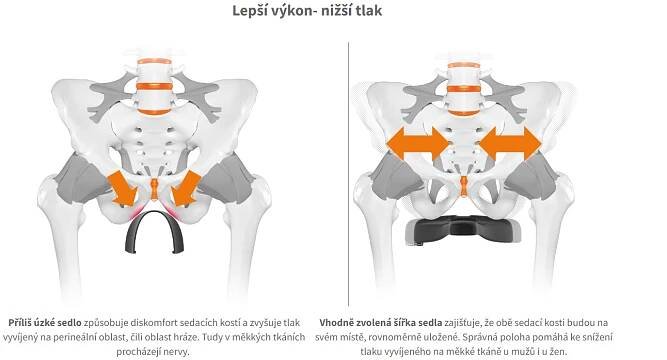 Měření sedacích kostí ZDARMA | Potřeby pro zimní i letní sporty, servis a půjčovna