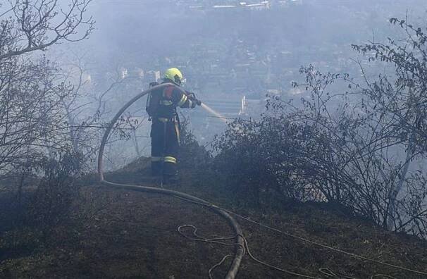 Hašení lesního požáru u Libčic potrvá zřejmě do odpoledne. Hasiči hledají skrytá ohniska