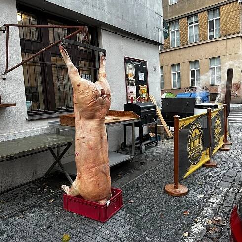 U MALEHO BERLINA, Prague - Holešovice - Menu, Prices & Restaurant Reviews - Tripadvisor