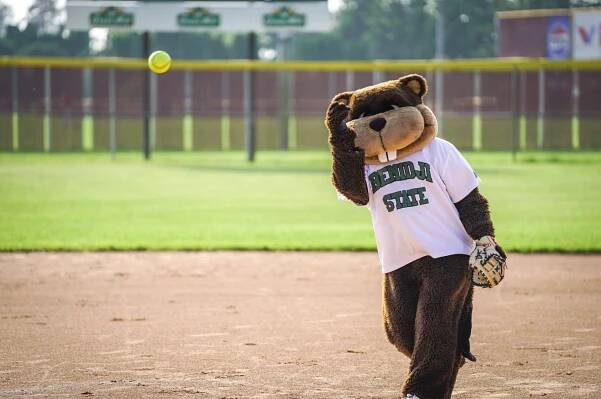 Bucky the Beaver delivers the ceremonial first pitch for Bucky's Celebrity Softball Game on Tuesday, June 10, 2025, at the BSU softball field. (Micah Friez / Bemidji State)