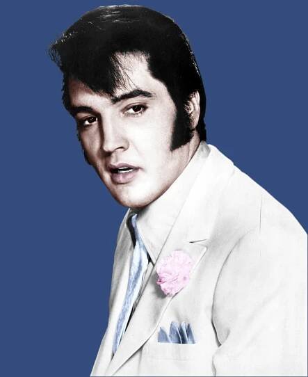 Elvis operator