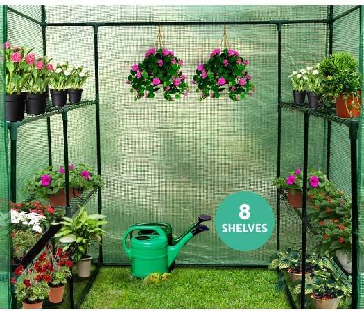 Greenfingers Walk in Greenhouse with shelves | Shipdirect2you