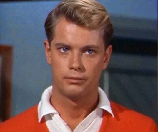 Troy Donahue Biography - Facts, Childhood, Family Life & Achievements