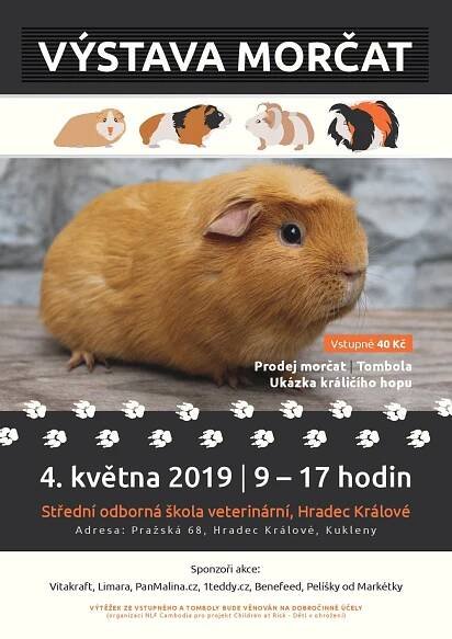 obrázek k akci Výstava morčat Hradec Králové