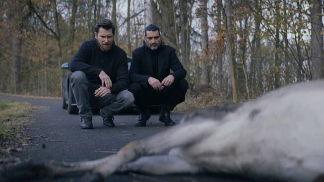 Dvě slova jako klíč – Filmy a Seriály online zdarma.