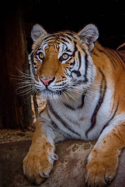 Zoopark Olovnice kombinuje odpočinek a zábavu se vzděláváním | Vyletnik.cz