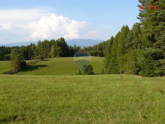 Borovnička, Trutnov