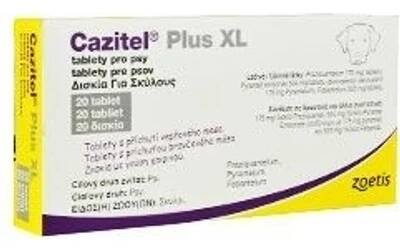 Cazitel Plus XL 20 tbl