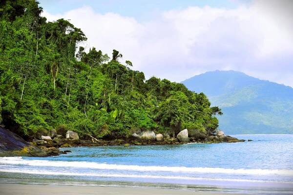 Základová fotografie na téma alega, americká samoa, azurový, bohémský, bujný, cestování, dálkový, denní světlo, dobrodružství