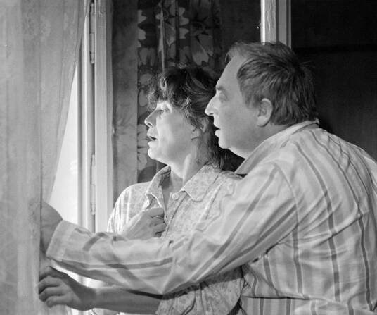 Malý pitaval z velkého města - Kasař - Z filmu - Zuzana Fišárková, Viktor Maurer