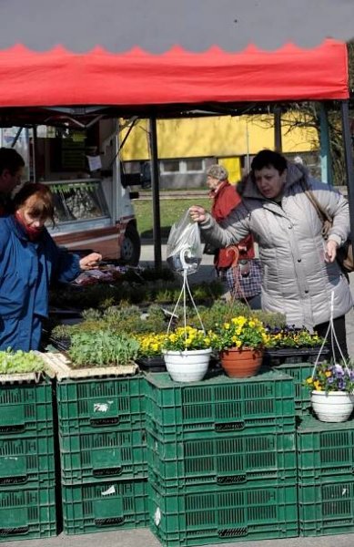 Farmářské trhy se v Ostravě vrací na náměstí
