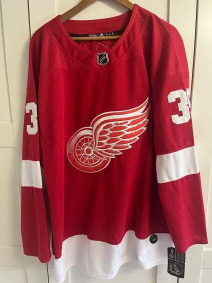 Hokejový dres Detroit Red Wings 39 Dominik Hašek - Vybavení na hokej