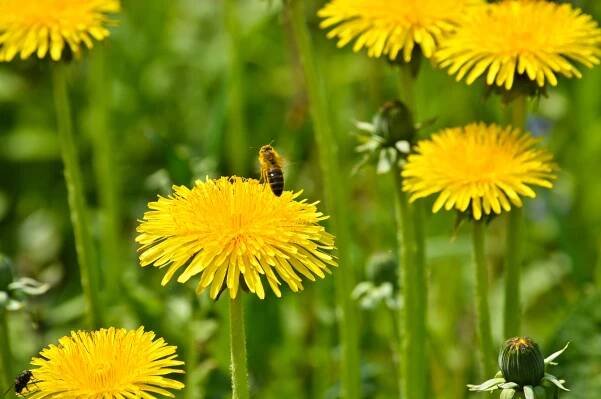 Novinky - Mate�sk� �kola Bobrov�,