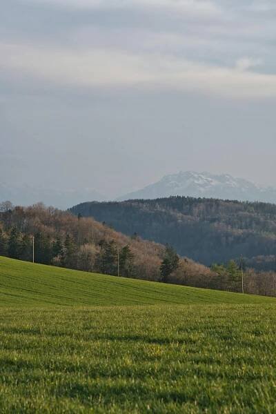 Free A peaceful countryside scene with rolling hills and distant mountains under a cloudy sky. Stock Photo