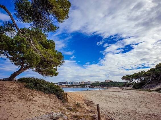 Wandern mit tollem Blick auf Cala Ratjada 5