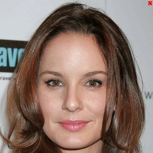 Sarah Wayne Callies