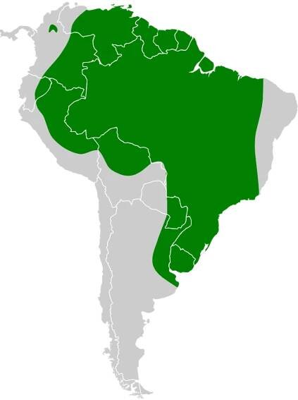 Soubor:Sternula superciliaris map.svg – Wikipedie