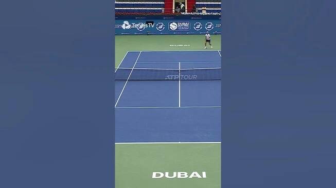 Pigeon Stops Play In Dubai