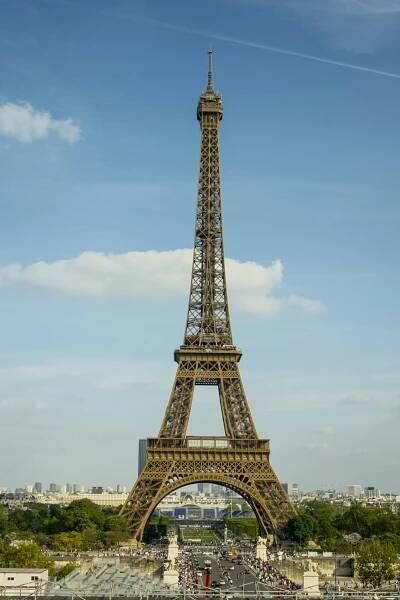 the eiffel tower towering over the city of paris