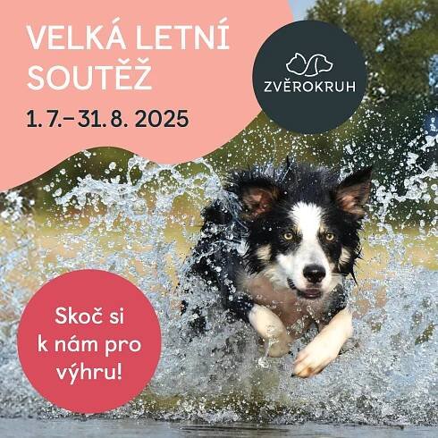 🐾 Big Summer Contest at Zvěrokruh!