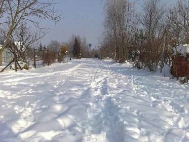 Sněhová peřina nad Křelovem, 23.1. Foto: Ladislav Stratil