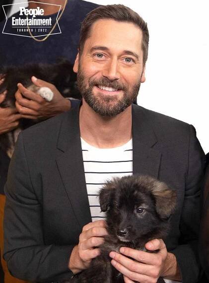 TIFF 2022 PUPPIES