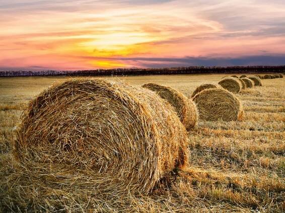 How to create safe, effective and just soil carbon governance