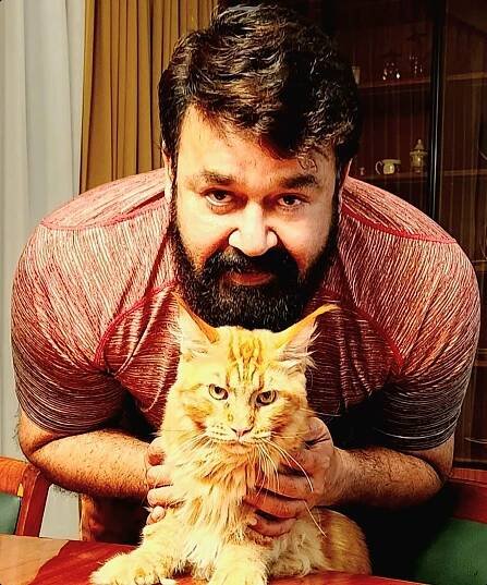 Mohanlal's Phenomenal Journey: 5 Inspiring Tales of Success and the Power of Perseverance 19