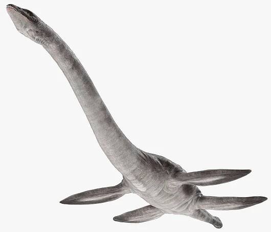 Dinosaurs Collection 8 3D model https://p.turbosquid.com/ts-thumb/rm/TVq9J8/CAVfKerU/plesiosauriamarinereptiledinosaur3dsmodel001/jpg/1648885235/1920x1080/fit_q87/b971282203ed97964175685b3d9dec7f97b9c497/plesiosauriamarinereptiledinosaur3dsmodel001.jpg