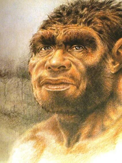 Human Origins: the evolution of mankind