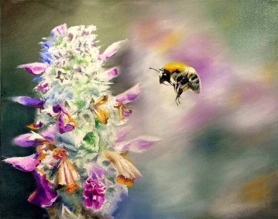 The Nectar Hunt