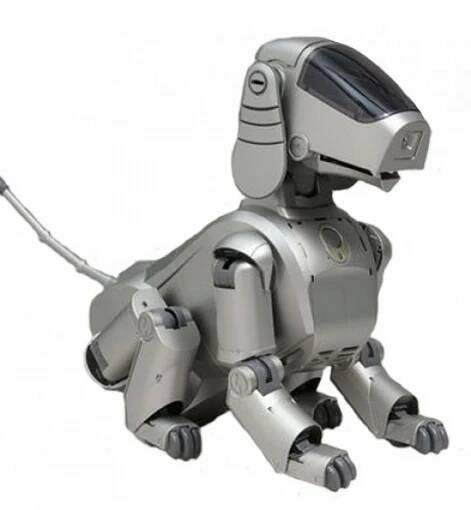 aibo on Tumblr